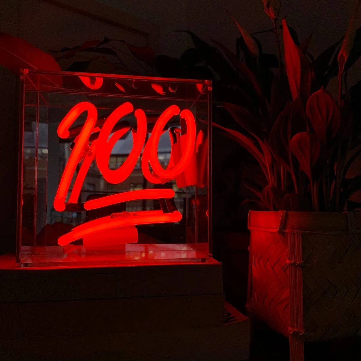 '100' Mini Acrylic Box Neon Light