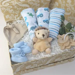 Baby Boy Gifts Box Hedgie Hedgehog & Sensory Discovery Box