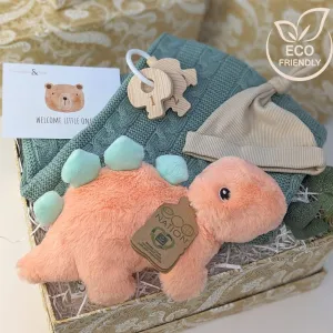 Baby 'Eco' Gifts Box - Steggie Stegosaurus