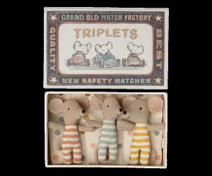 Baby Mouse In A Box - Triplets