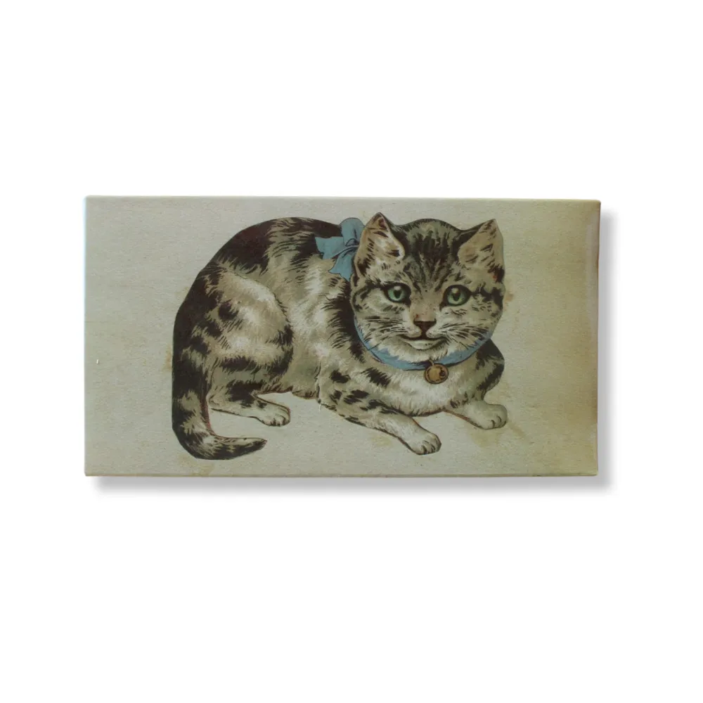 Matches - John Derian Floral Cat