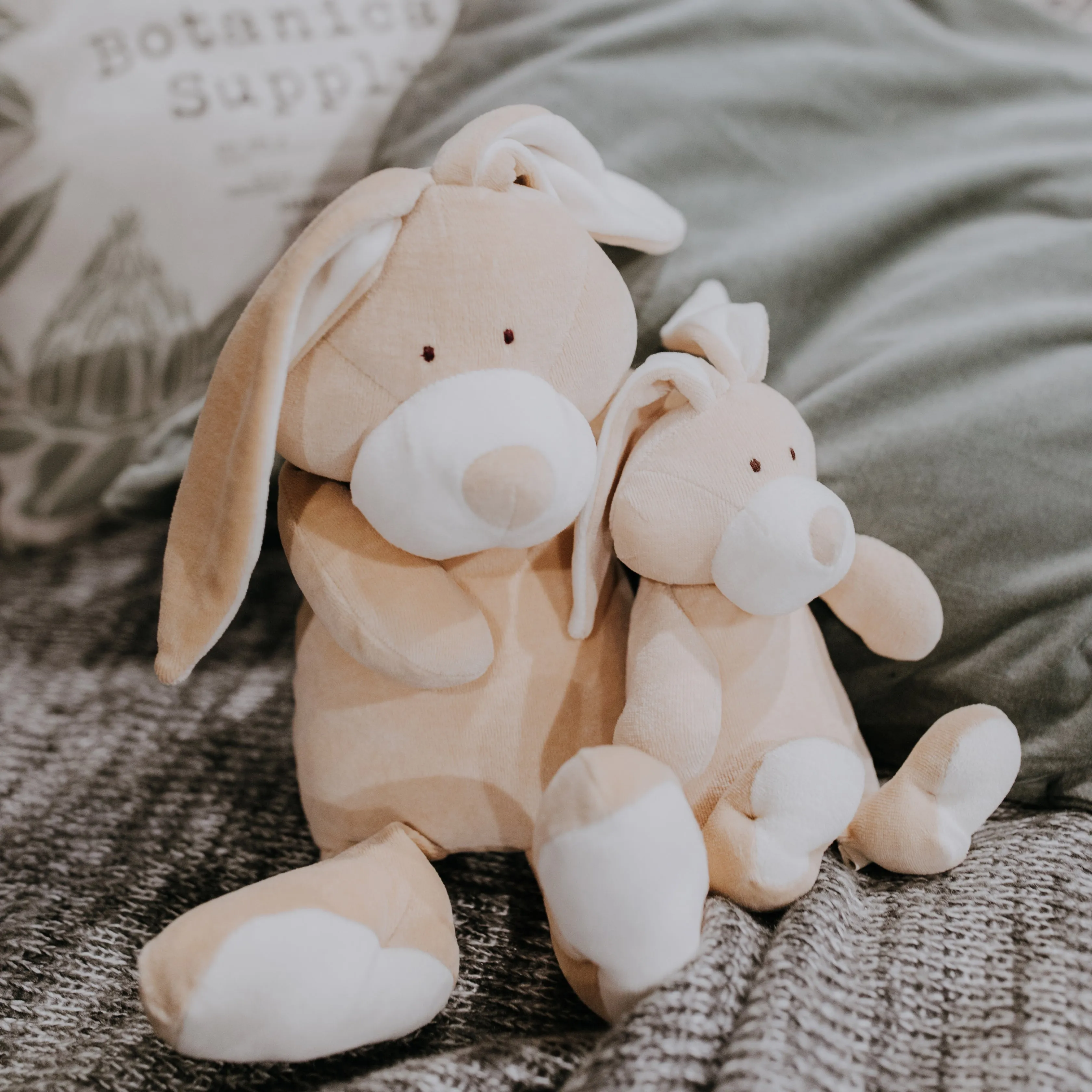 Organic soft toy BUNNY