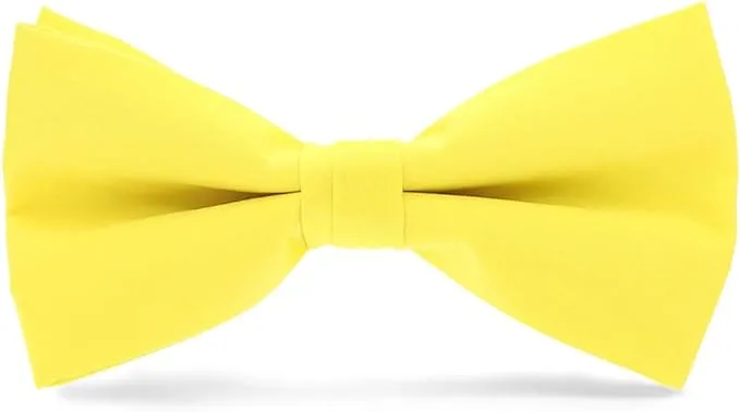 Vittorio Farina Men's Satin Bow Tie in Gift Box